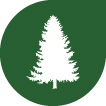 Holzherkunft