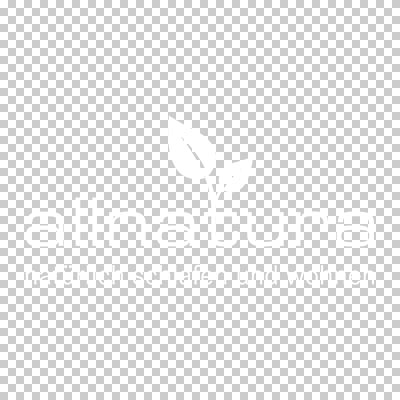 Logo allnatura