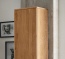 Hänge-Dielenschrank Volitare mit massiver Holztür
