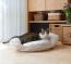 Gemütlich-weiches Katzenbett für den gesunden Schlaf Gemütlich-weiches Katzenbett für den gesunden Schlaf