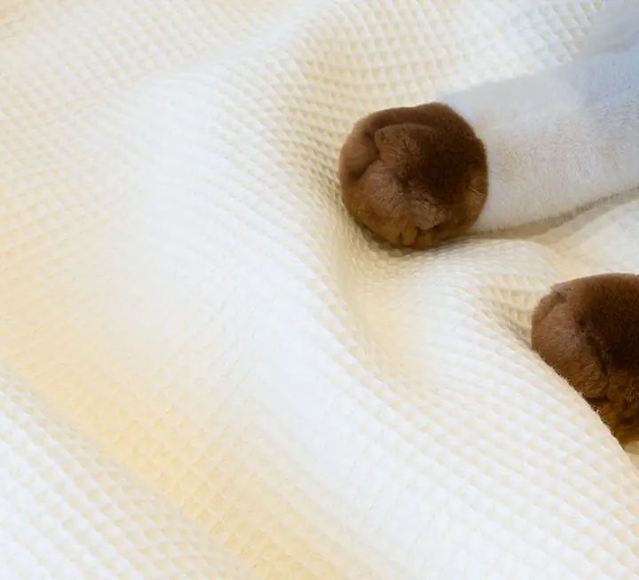 Kinder-Baumwoll-Bettwäsche aus 100 % Bio-Baumwolle