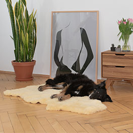 Wohlige Träume auf Größe 100-110 cm für mittelgroße Hunde wie Beagle, Cocker Spaniel und Chow-Chow