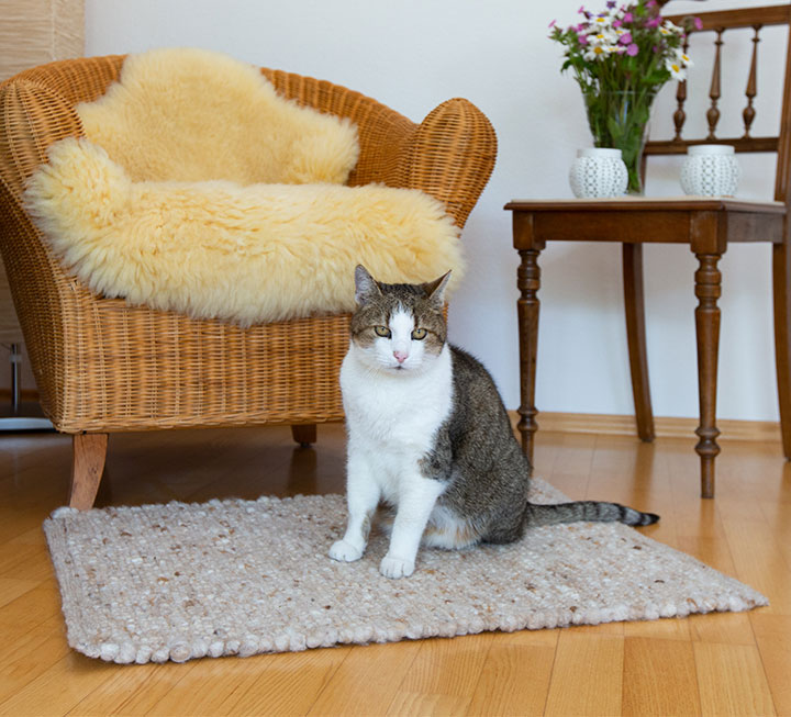 Größe 80x60 cm ist ideal als gemütlicher Katzen-Schlafplatz geeignet Größe 80x60 cm ist ideal als gemütlicher Katzen-Schlafplatz geeignet