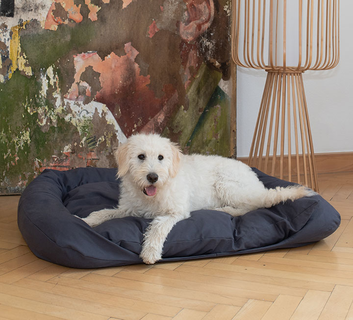 Komfortables Hundebett für den gesunden Schlaf Ihres Vierbeiners Komfortables Hundebett für den gesunden Schlaf Ihres Vierbeiners